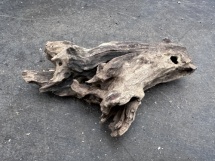 Kayika wood 15 26 cm