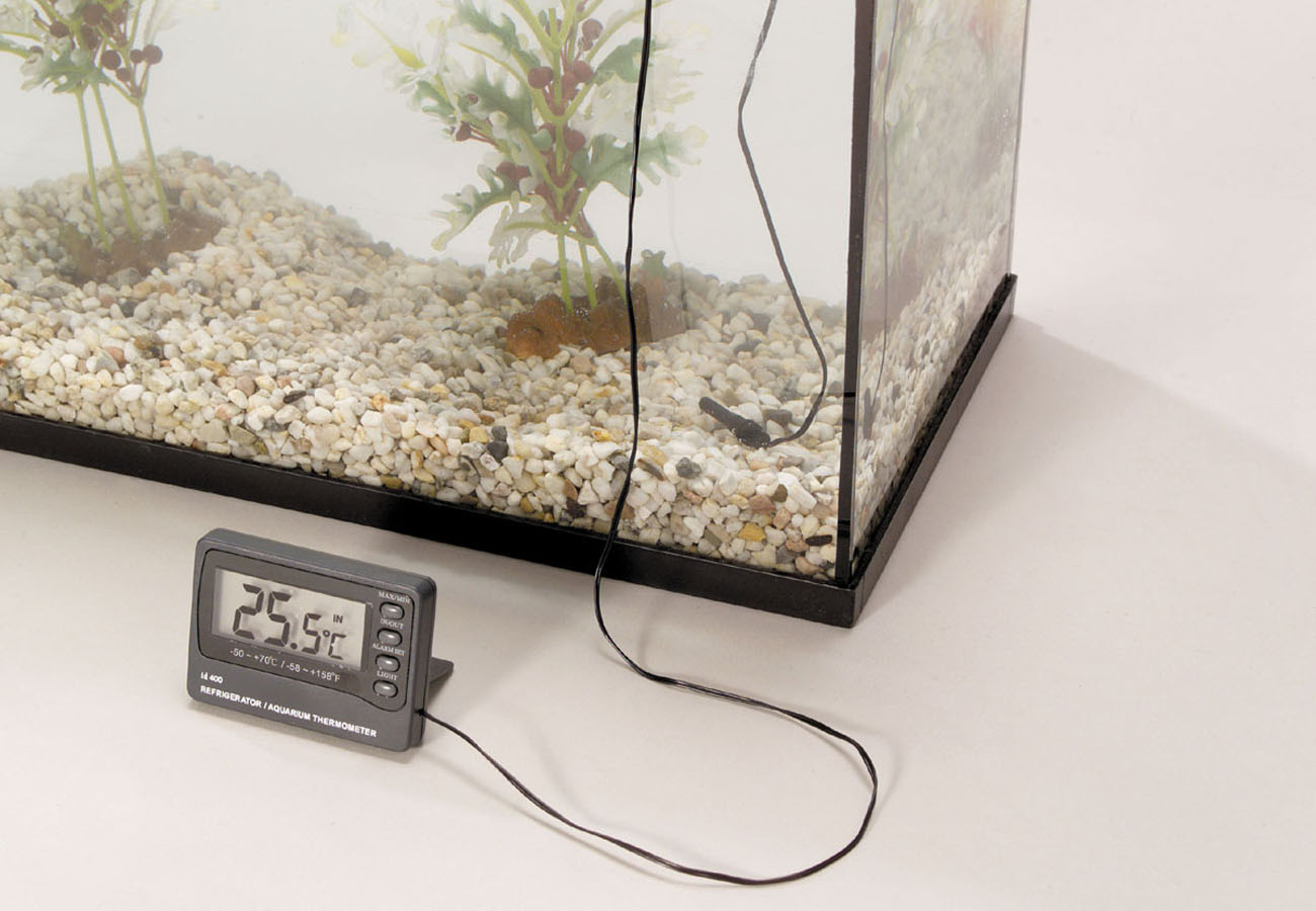 ruilen begroting leven Digitale thermometer met alarm - Welkom bij aquarium-planten.com -  verwarming-temperatuur-meting